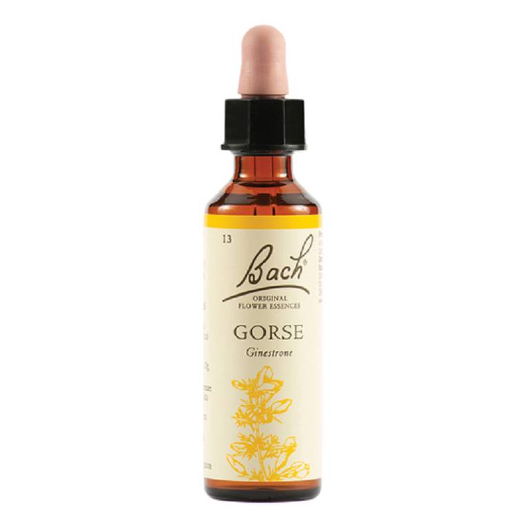 GORSE BACH ORIG 20ML